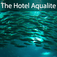 The Hotel Aqual